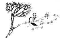 hill-tree.pdf