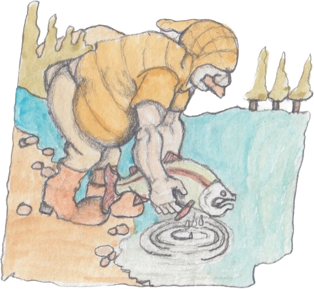 Karl returning salmon to the water.