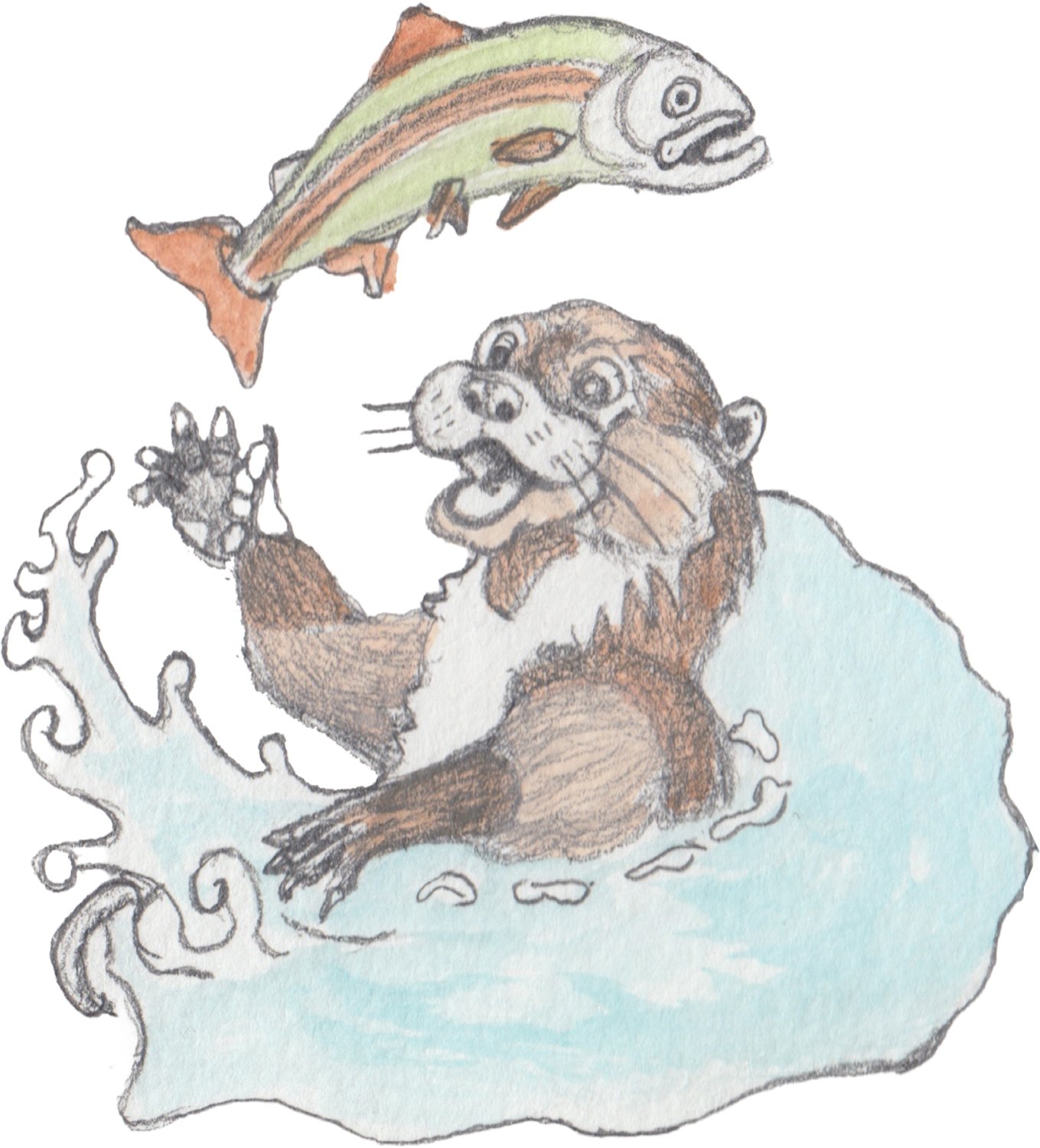 Boy tranforming into a rabbit, a raven, and a fish with hi human face alway remaining.