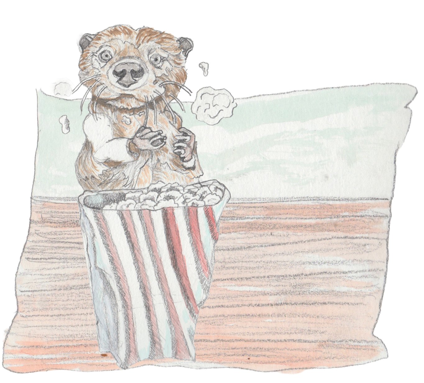 Otter eating popcorn close up.