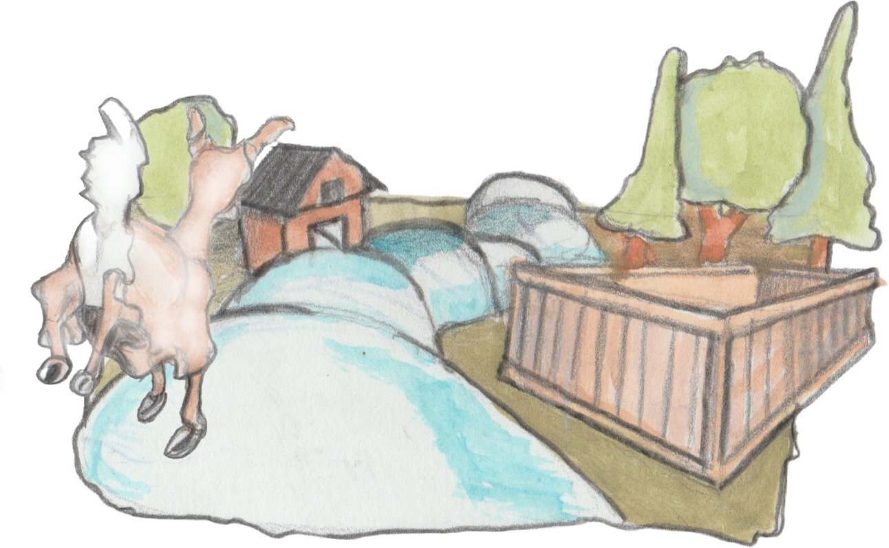 A white deer running down a cxurvey road with a barn on one side and a horse paddock on the other.