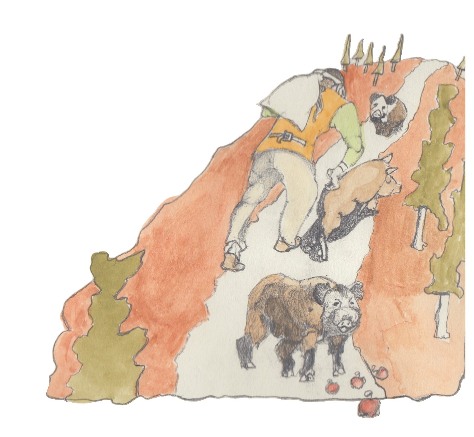 Hulton climbing hill with boars roaming around him as he carries a ack on his back and a bowler on his head.