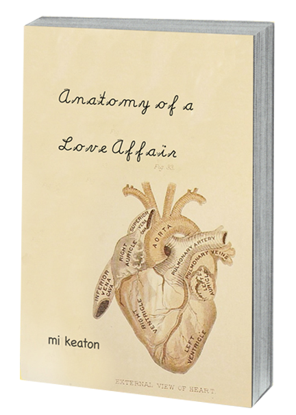 Anatomy of a Love Affair Book Cover.