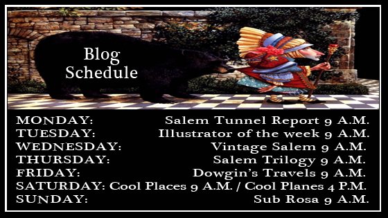 Blog Schedule