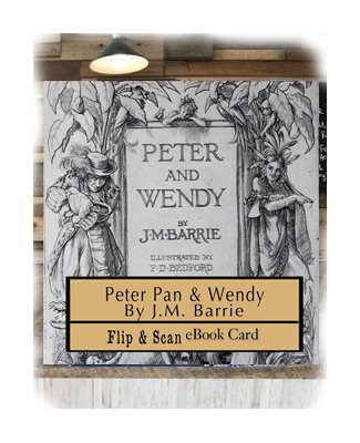 Peter and Wendy book cover