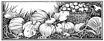 Fall image