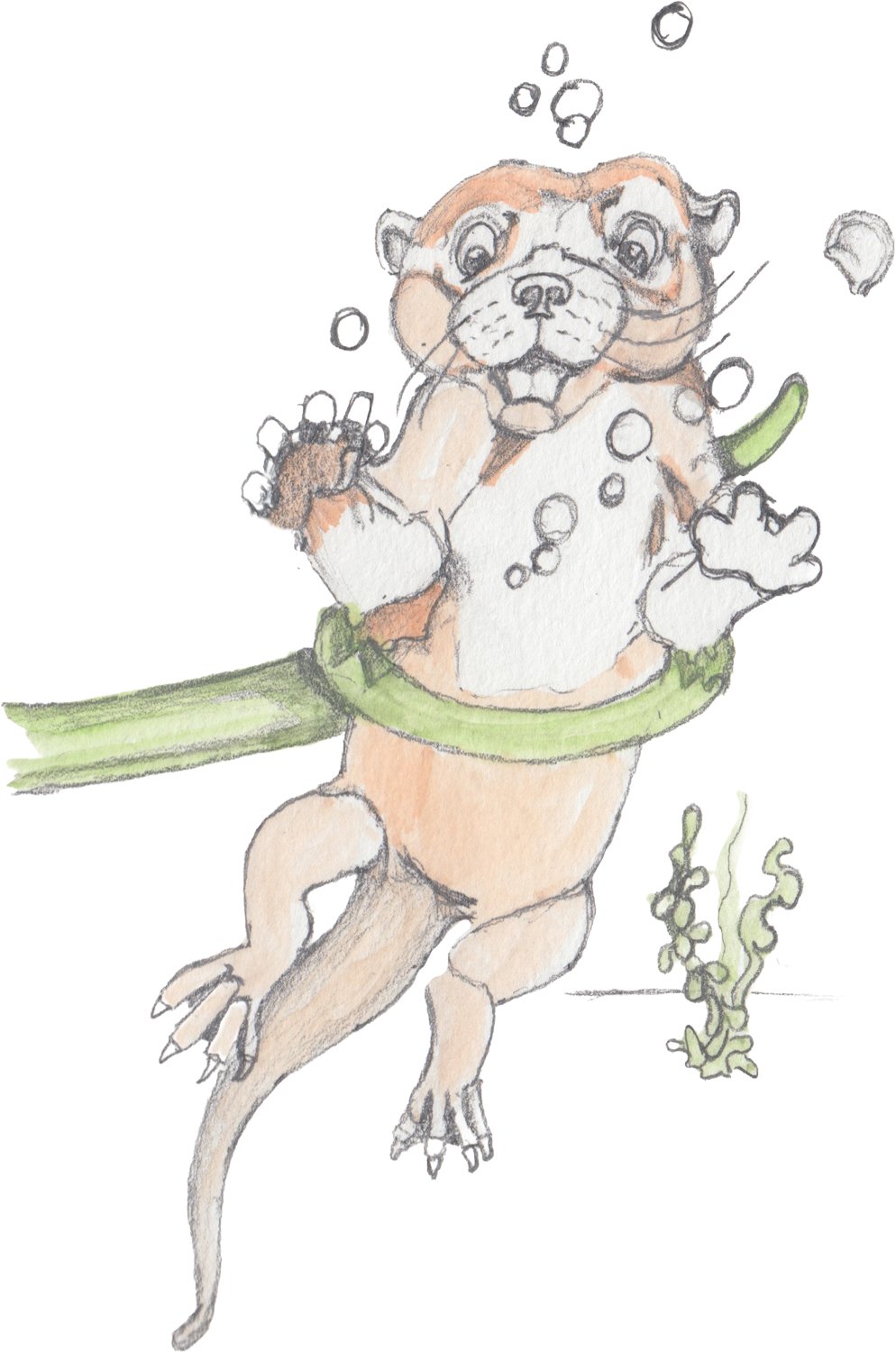 Otter being pulled underwater by the serpent's tail.
